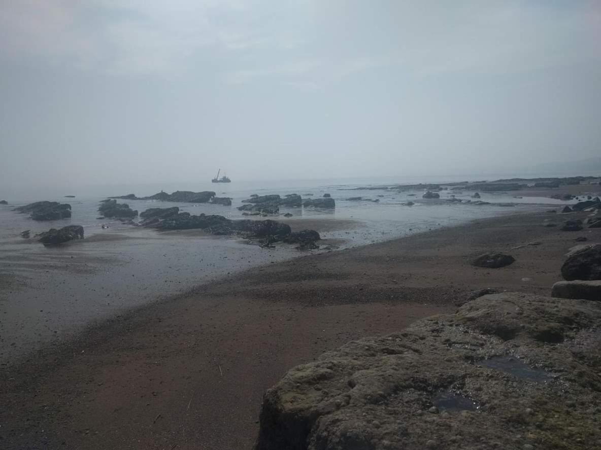 דוליש Seaside Guest House A Stone'S Throw From The Beach מראה חיצוני תמונה